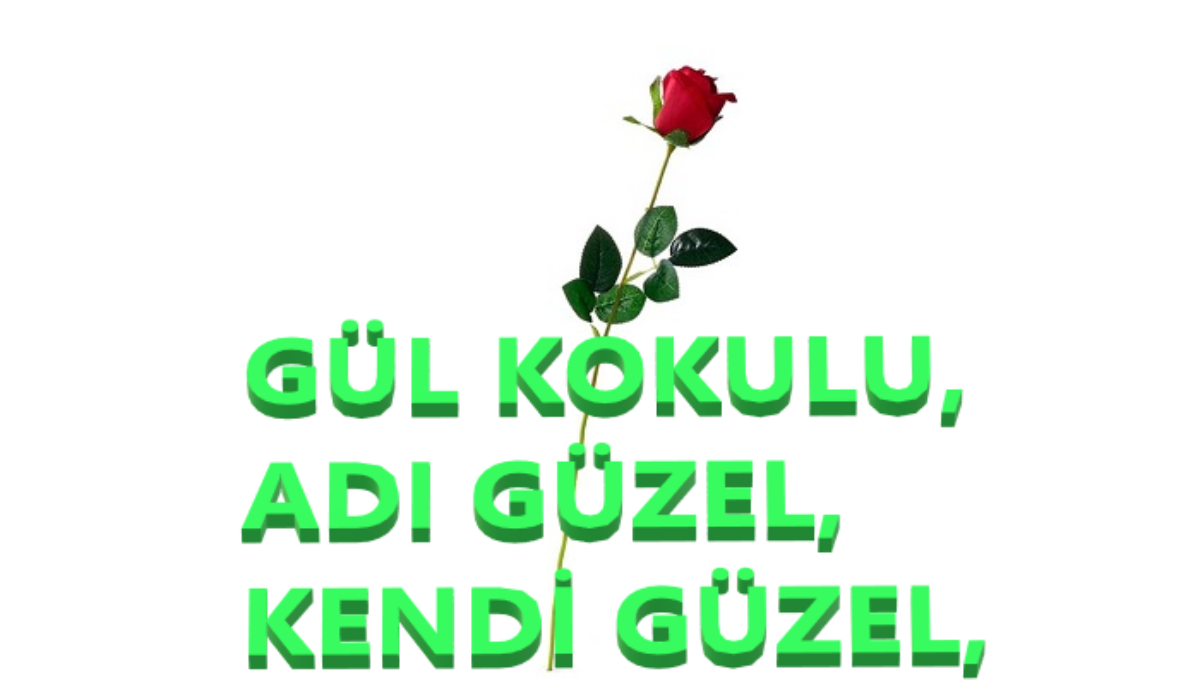 Hz. Muhammed Mustafa S.A.V ‘i Layıkıyla Anlatan Bir Liderdi O ad-mania