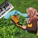 2022 yılı yaş çay taban fiyatında beklenen fiyat!