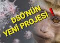 Dsö’den Yeni Salgın projesi !