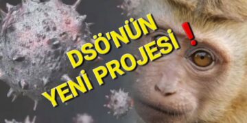 Dsö’den Yeni Salgın projesi !