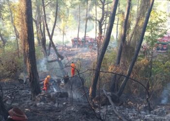 Antalya’da ki yangın, Havadan ve Karadan Söndürüldü