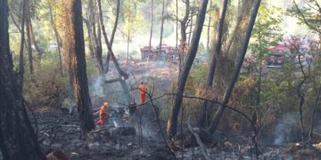 Antalya’da ki yangın, Havadan ve Karadan Söndürüldü