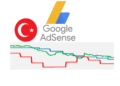Google Adsense Türkiye Gelirlerini Neden Düşürdü?