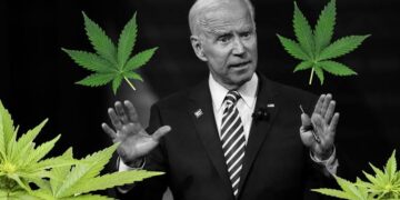 Abd’nin Yıllardır Kenevir Hakkında Gizlediği Şok Gerçekler !