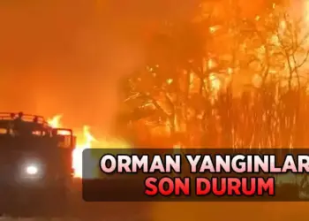 Çanakkale’de Yangın Devam Ediyor, Yollar Trafiğe Kapatıldı !