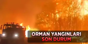 Çanakkale’de Yangın Devam Ediyor, Yollar Trafiğe Kapatıldı !