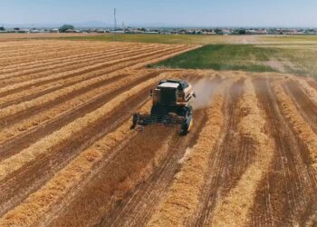 Tarımsal Destek Ödemeleri Başladı !