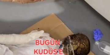 Bugün KUDÜS’e sahip çıkmamak, İSLAM’a ve PEYGAMBER’e hakarettir