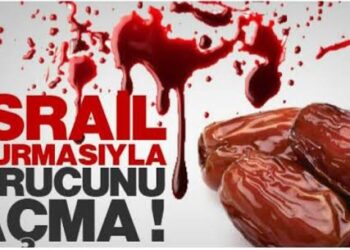 Kudüs Hurması Gerçekte Hangi Ülkenin Hurmasıdır?