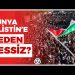 Dünya Neden Filistinde 1 yılı aşkındır devam eden soykırıma sessiz kaldı ?